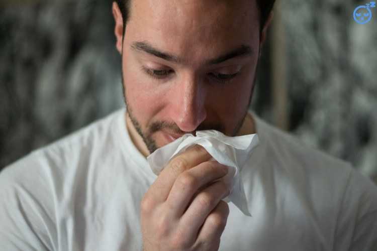 Alergias producidas por ácaros en el colchón